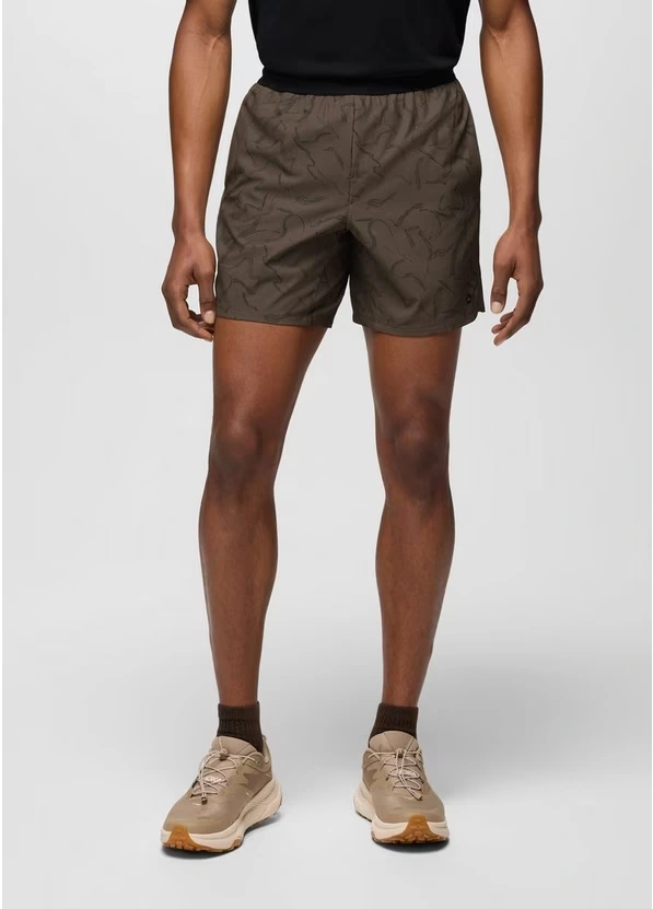 Intrinsic Lined Short